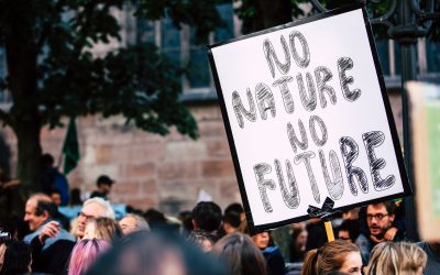 The Climate Crisis Is Already Here, What Does It Mean For Youths?